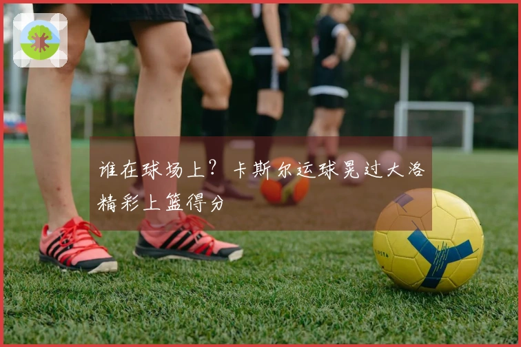 谁在球场上？卡斯尔运球晃过大洛精彩上篮得分